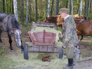 polana_pociecha_39_20110411_1121832958