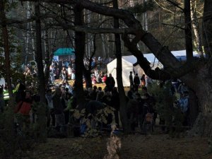 Palmiry 2010