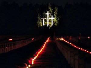 Palmiry 2010