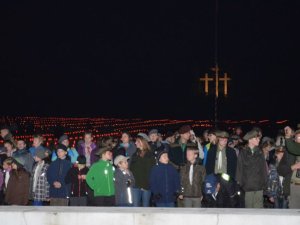 Palmiry 2014
