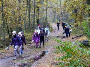 pociecha_12_20161029_1756354258
