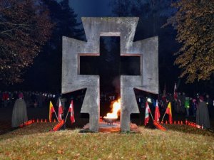 pociecha_142_20161029_1362615538