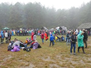 Palmiry 2017 - Pociecha