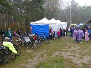 Palmiry 2017 - Pociecha