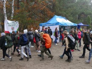 Palmiry 2017 - Pociecha