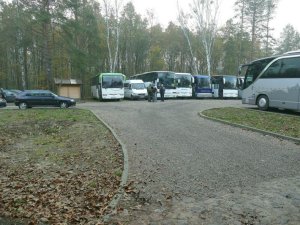 Palmiry 2017 - Pociecha
