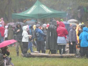 Palmiry 2017 - Pociecha