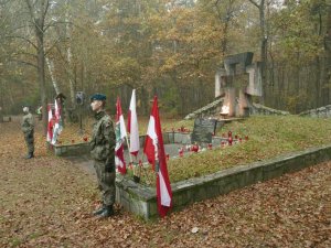 Palmiry 2-17 - Jerzyki