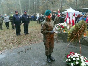 Palmiry 2-17 - Jerzyki