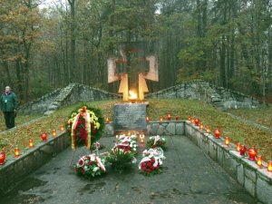 Palmiry 2-17 - Jerzyki