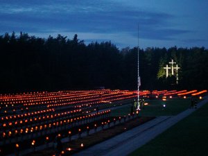 DSC01390-202